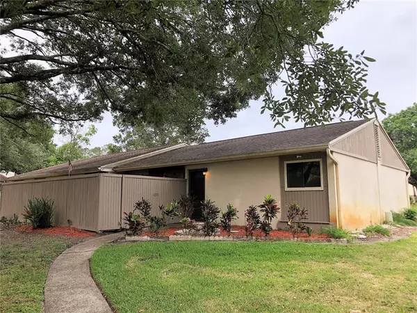 8615 CATTAIL DR,  Temple Terrace,  FL 33637