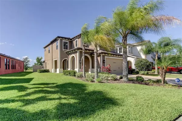 Wesley Chapel, FL 33543,29074 PERILLI PL