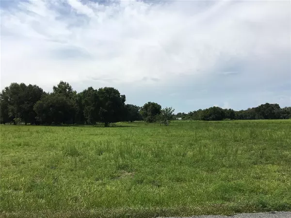 Bushnell, FL 33513,Parcel 1 CR 546A