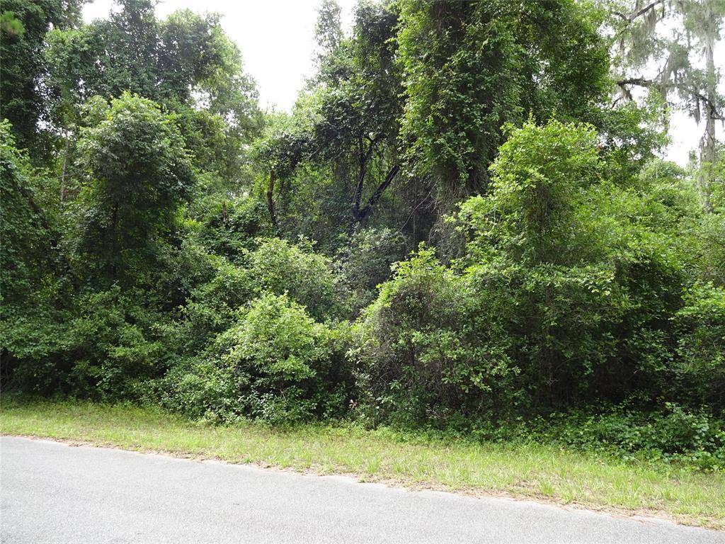 805 E ABEND DR, Citrus Springs, FL 34434