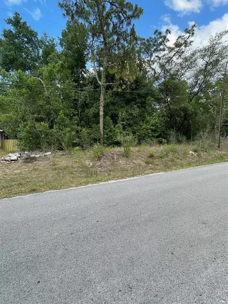 PACIFIC AVE, Weeki Wachee, FL 34607