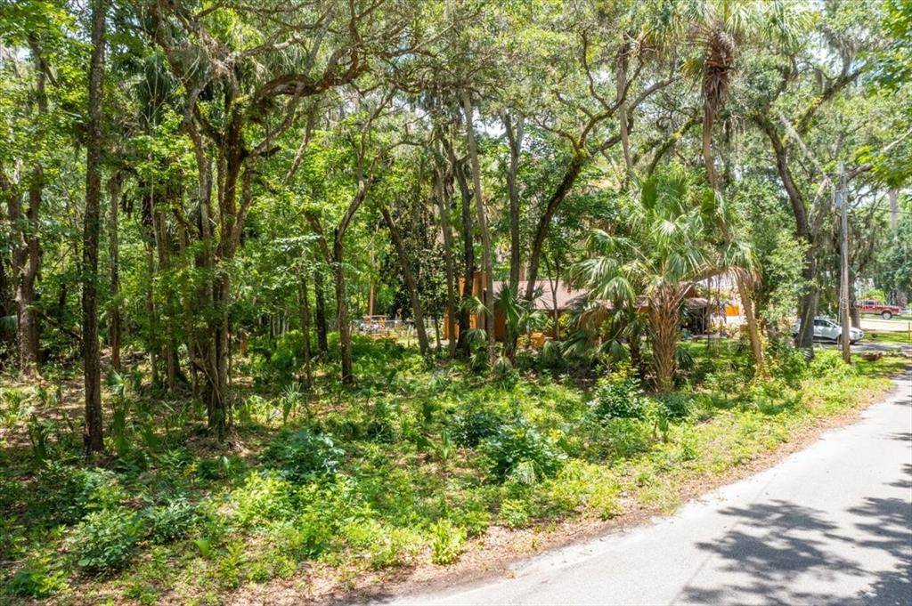 4350 S CONWELL PT,  Homosassa,  FL 34448