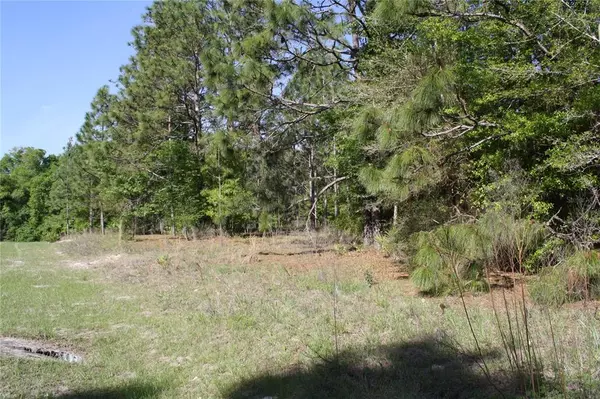 PLUM CT, Melrose, FL 32666