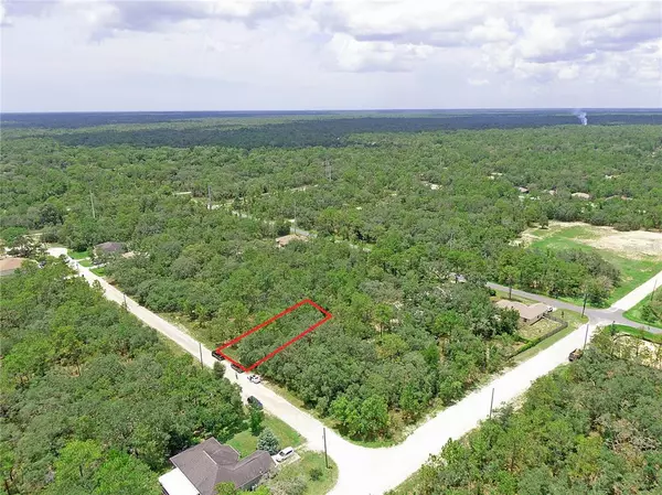 Weeki Wachee, FL 34614,13011 PIPIT AVE