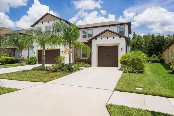 Wesley Chapel, FL 33543,29436 PICANA LN