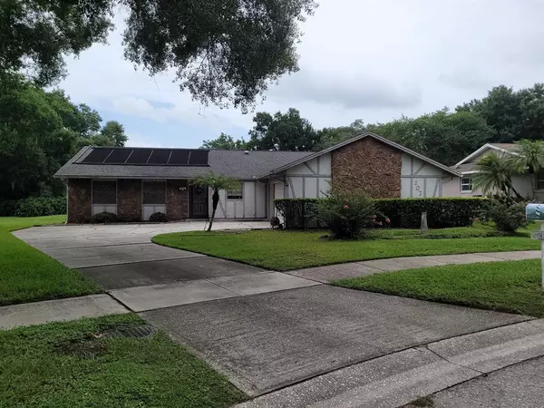 207 BALL PARK AVE, Seffner, FL 33584