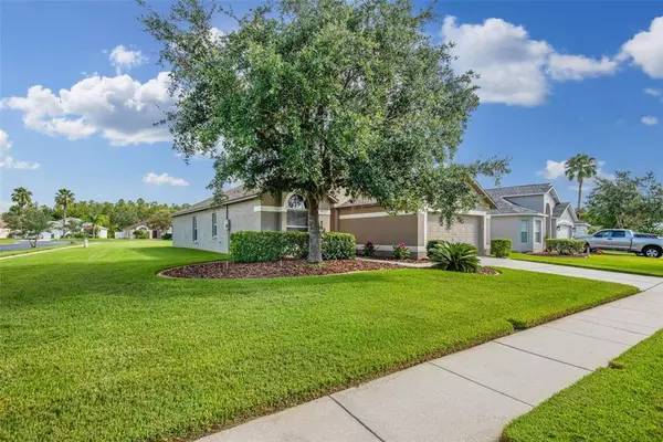 Wesley Chapel, FL 33543,1417 APPLETON PL