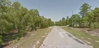 Citrus Springs, FL 34434,1042 W LUDLUM ST