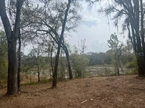 Lutz, FL 33559,16222 LIVINGSTON AVE