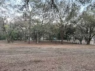 Lutz, FL 33559,16222 LIVINGSTON AVE