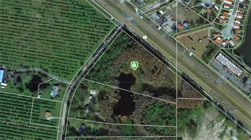 Land O Lakes, FL 34638,6500 LAND O LAKES BLVD