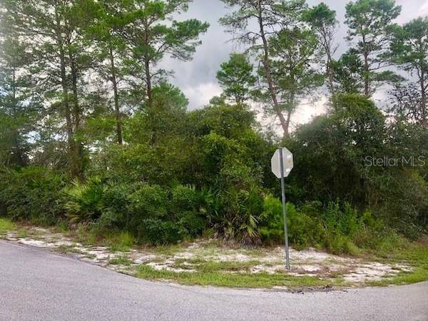 TINLEY RD, New Port Richey, FL 34654