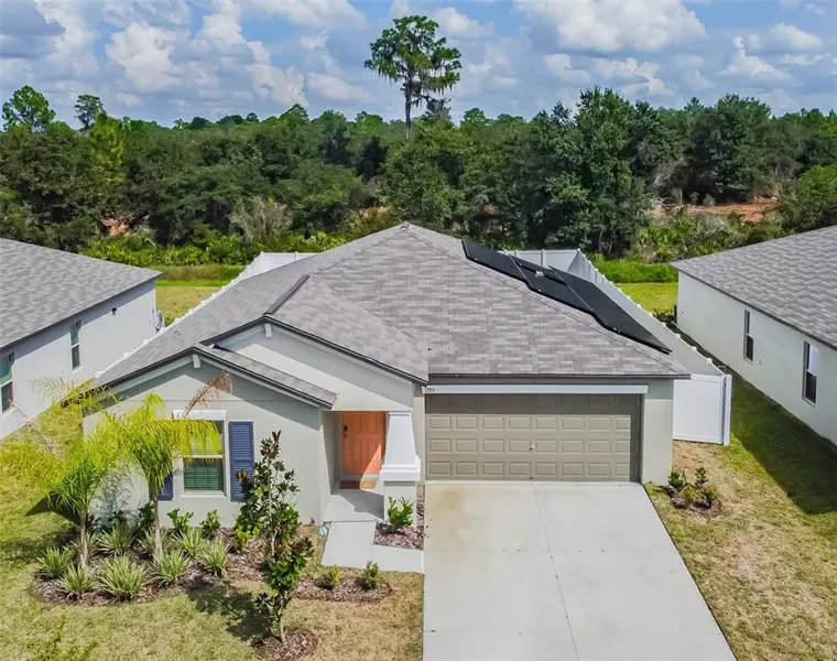 13355 WILLOW BLUESTAR LOOP, Riverview, FL 33579