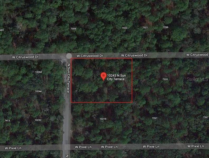 10243 N SUN CITY TER, Dunnellon, FL 34433