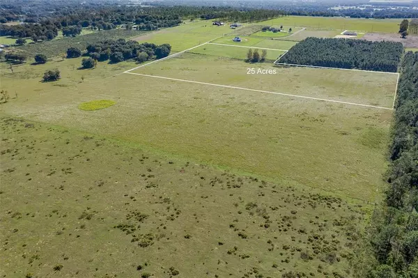 Dade City, FL 33523,LOT C HILLTOP HORIZONS PL