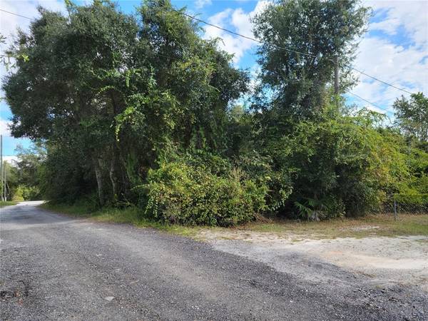 CHARLES AVE, Orange City, FL 32763