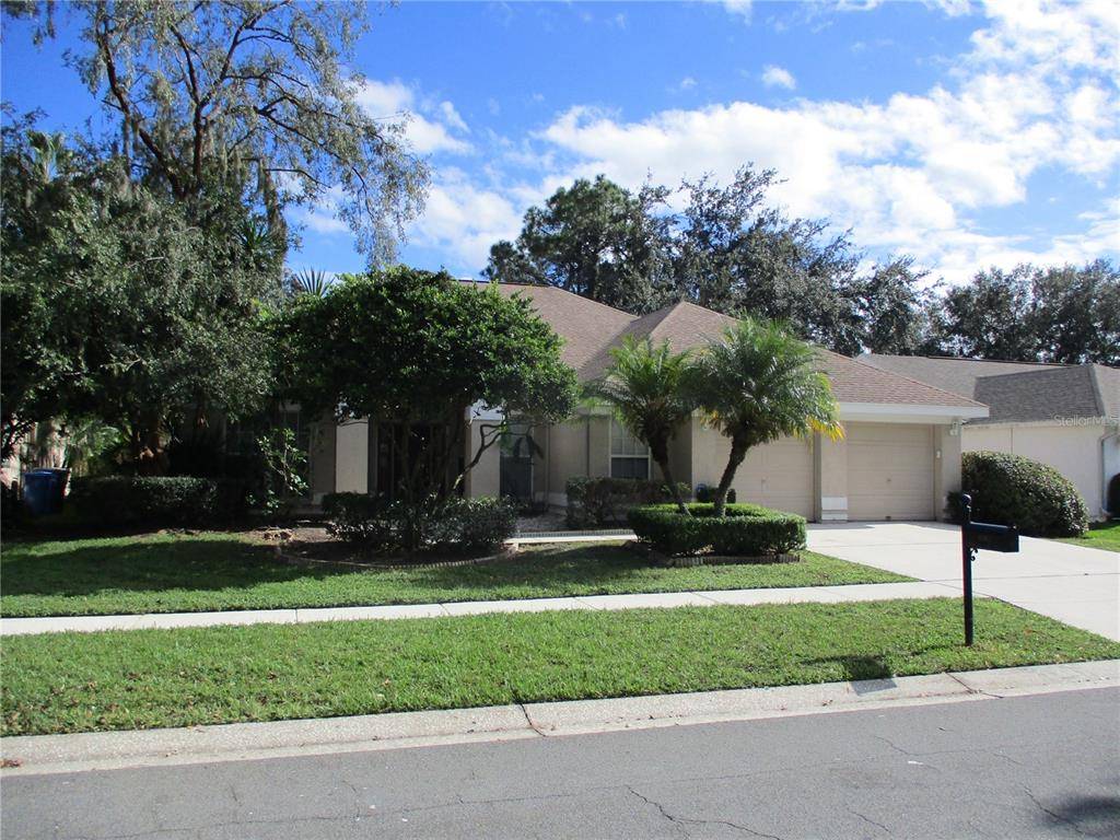 9203 DAYFLOWER DR, Tampa, FL 33647