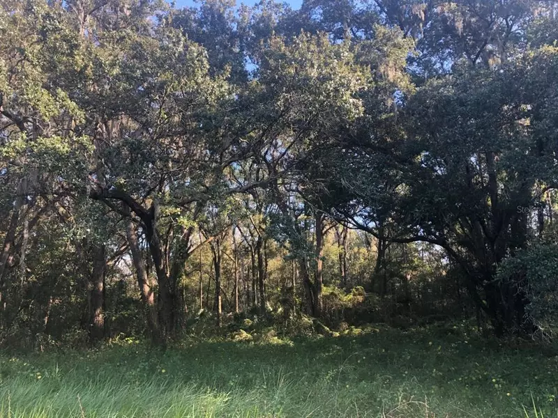 0 FIELDS RD, Lakeland, FL 33801