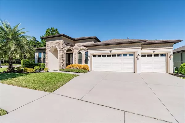 Land O Lakes, FL 34637,8528 SWISS CHARD CIR