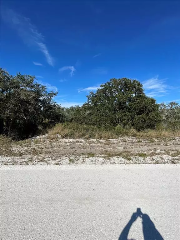 2038 W BERMUDA RD, Avon Park, FL 33825