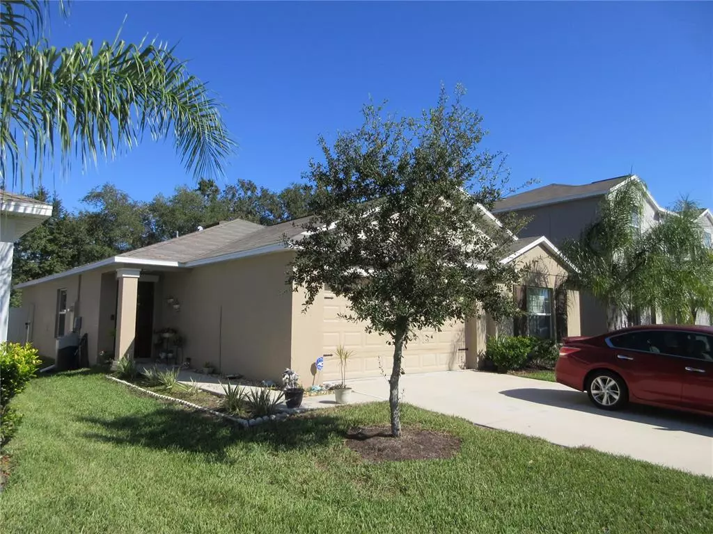 Riverview, FL 33578,10212 STRAWBERRY TETRA DR