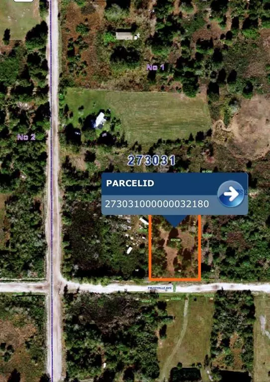 Lake Wales, FL 33859,0 FRUITVILLE