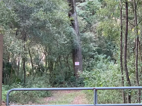 GRAND AVE, Brooksville, FL 34604