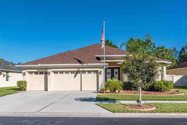 Wesley Chapel, FL 33544,27129 SORA BLVD