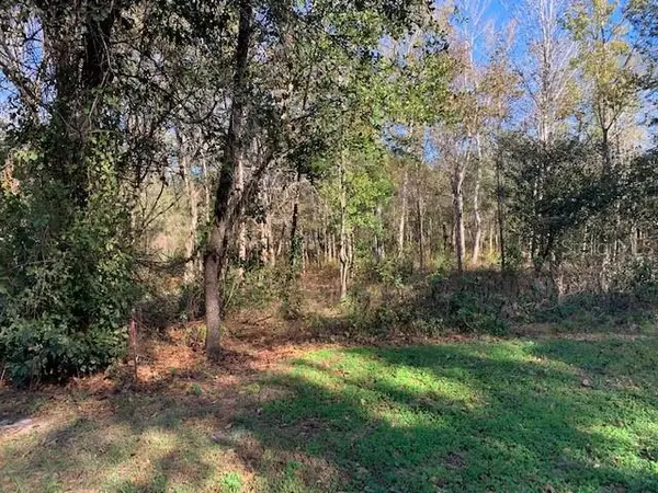 Riverview, FL 33569,Lot 15 LAKE HILLS DR