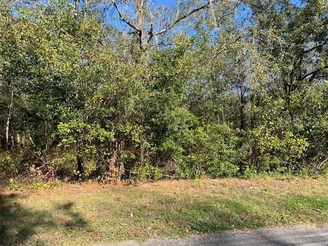 Riverview, FL 33569,Lot 16 LAKE HILLS DR