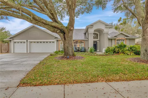 Lutz, FL 33548,18004 CLEAR LAKE DR