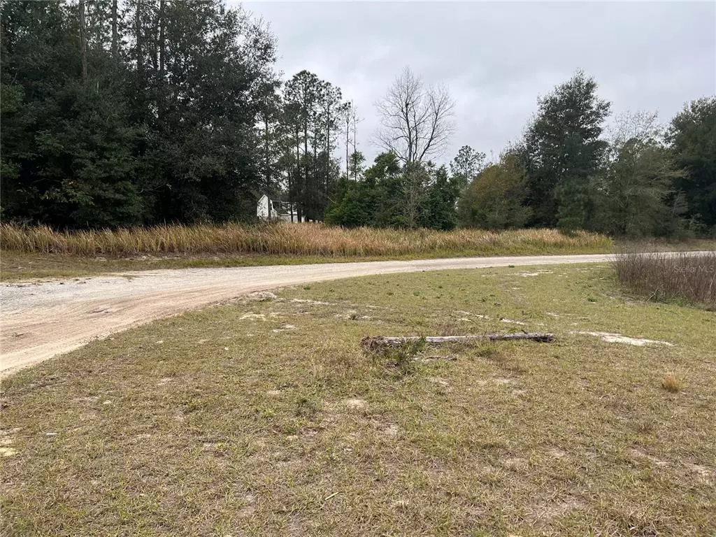 Dade City, FL 33525,00 NELSON RD