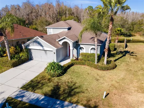 Tampa, FL 33647,10319 BIRDWATCH DR