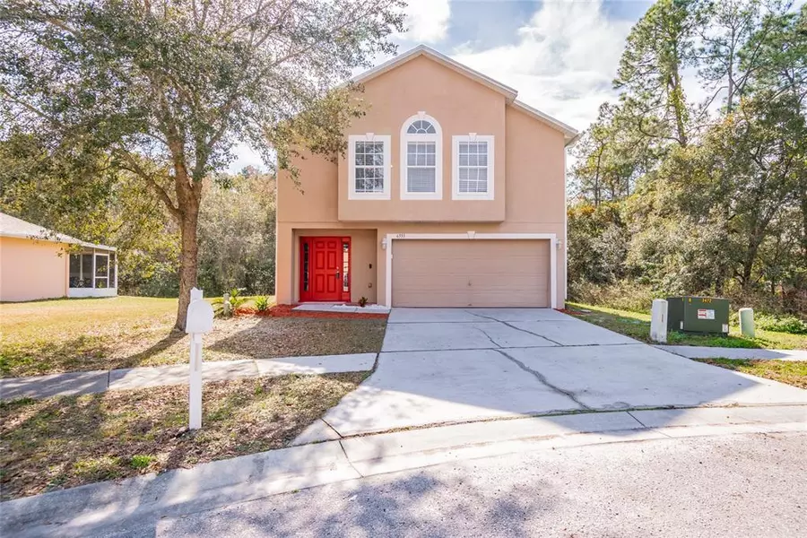 6553 TABOGI TRL, Wesley Chapel, FL 33545