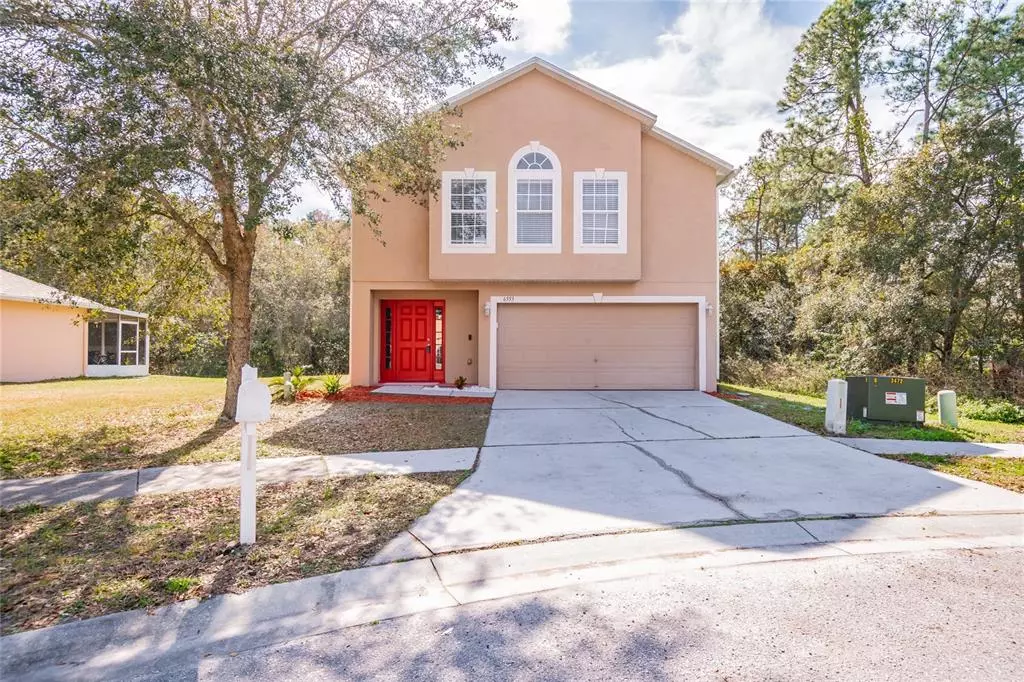 Wesley Chapel, FL 33545,6553 TABOGI TRL