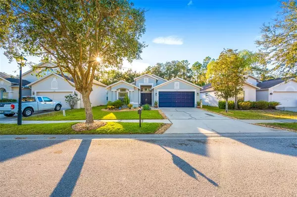 Wesley Chapel, FL 33545,6719 BLUFF MEADOW CT