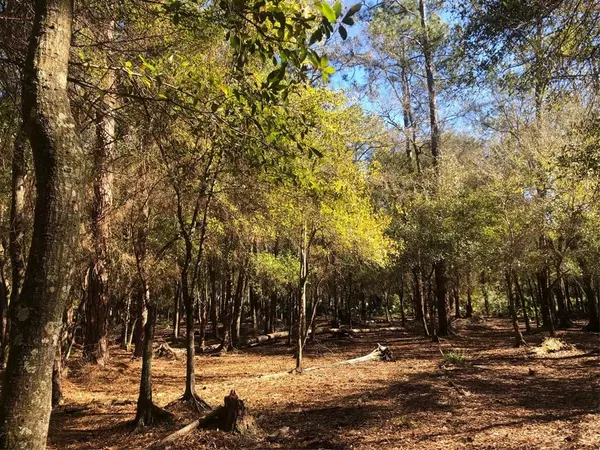 27869 GREEN WILLOW RUN, Wesley Chapel, FL 33544