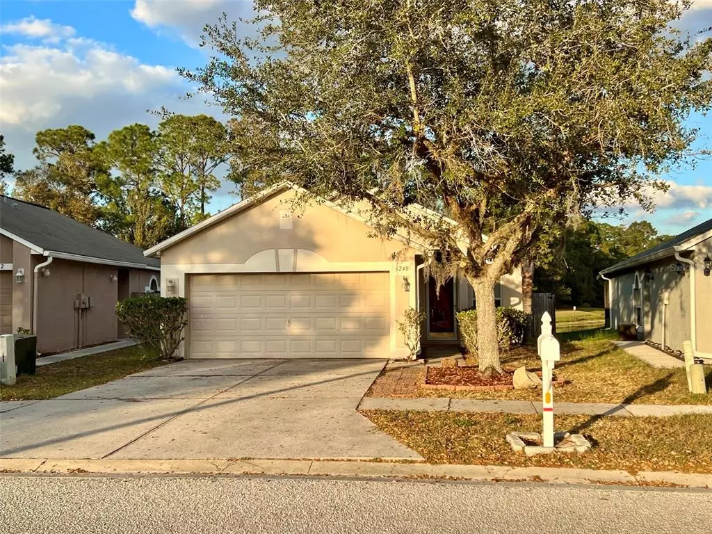 Wesley Chapel, FL 33545,6248 TABOGI TRL