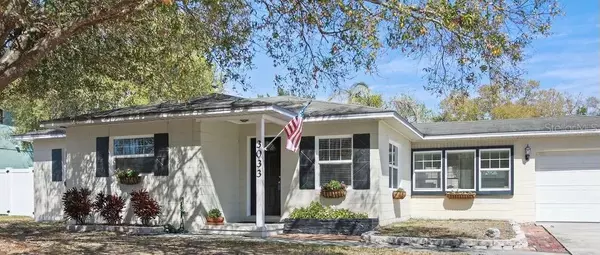3033 W HELEN AVE, Tampa, FL 33611