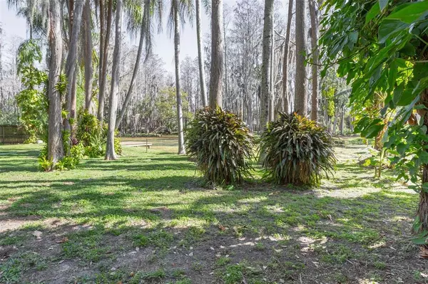 Lutz, FL 33548,2909 WILSON CIR