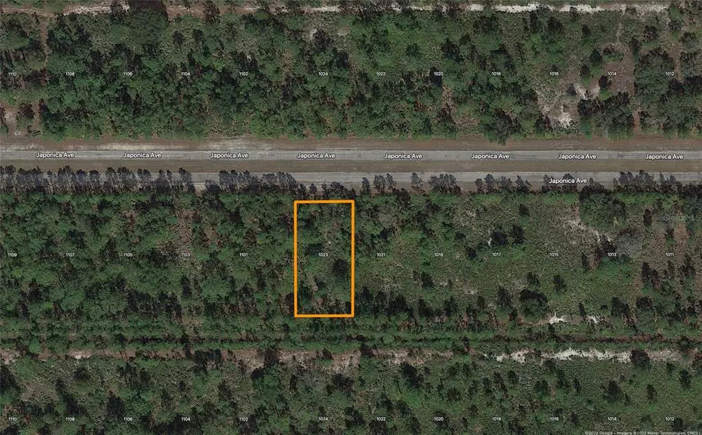 Indian Lake Estates, FL 33855,1023 JAPONICA AVE