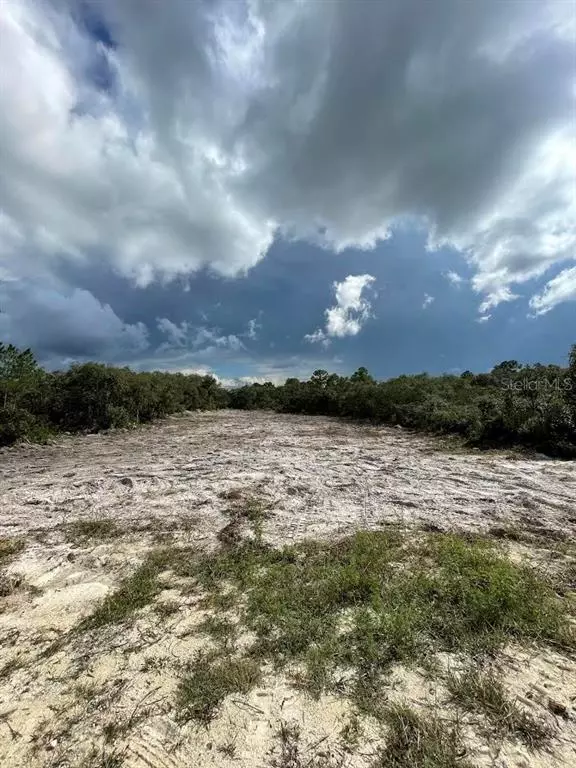 GRINDSTONE DR, Webster, FL 33597