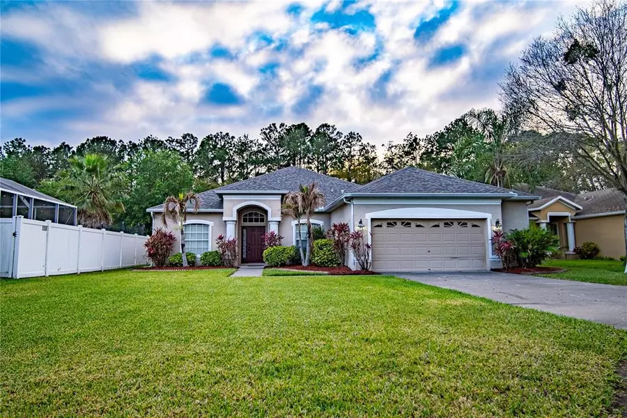 11738 SUMMER SPRINGS DR, Riverview, FL 33579