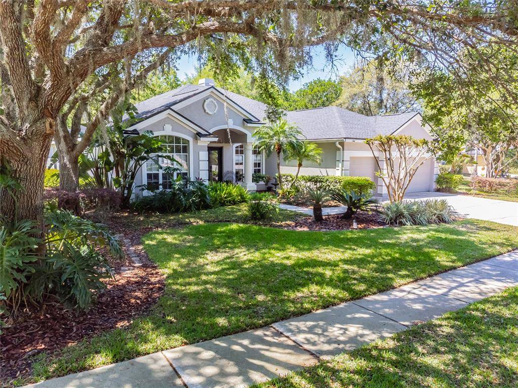 19104 SAINT LAURENT DR, Lutz, FL 33558