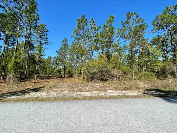 Dunnellon, FL 34431,000 SW COMMODORE RD