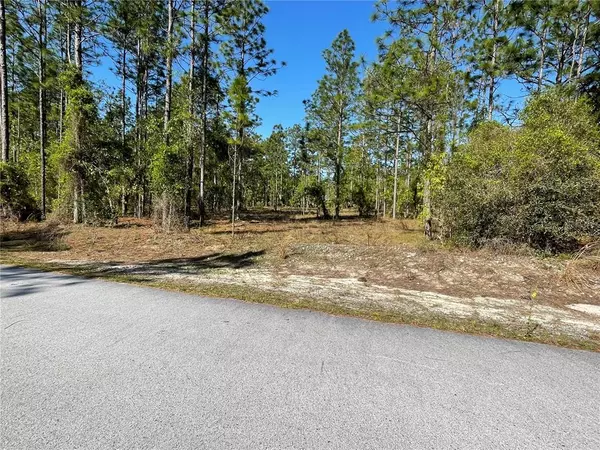 Dunnellon, FL 34431,000 SW COMMODORE RD