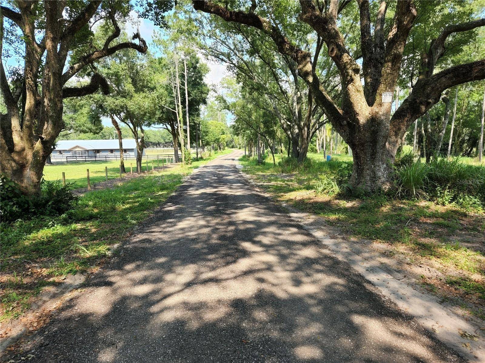 Lutz, FL 33549,997 GRACE FARM DR