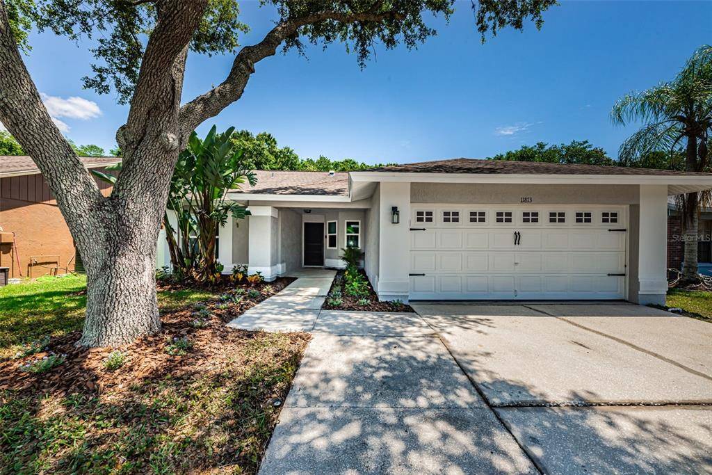 11813 SNAPDRAGON RD, Tampa, FL 33635