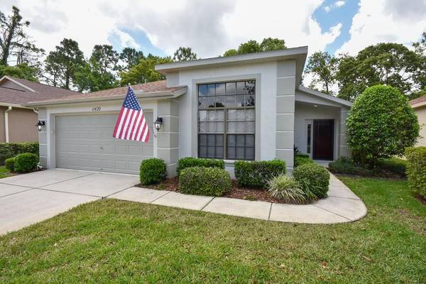 11420 BILLINGHAM BLVD, Spring Hill, FL 34609