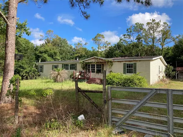 30313 CHAPEL DR, Wesley Chapel, FL 33545